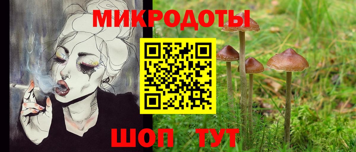 Галлюциногенные грибы Cubensis Дзержинский