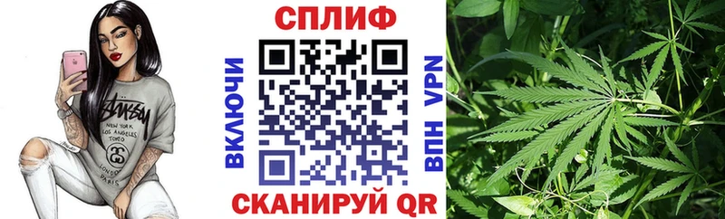 Канабис план  Дзержинский 